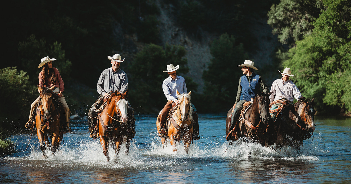 Fall Round Up Horse Sale
